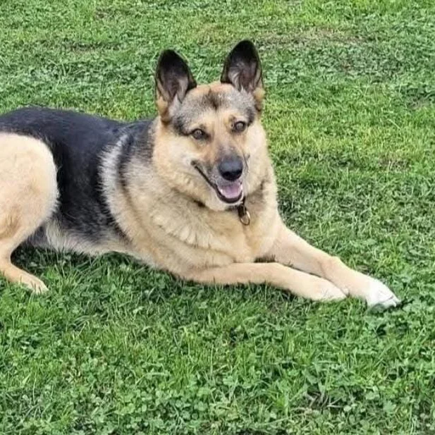 Lena